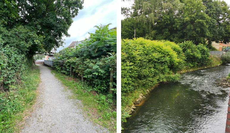 Archigraphus - Baustelle | Pocketpark