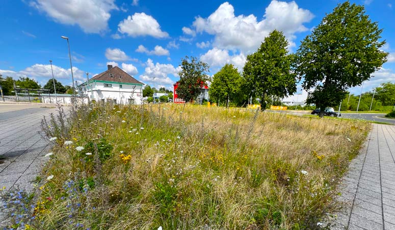 Archigraphus - Konzept | Radstation Bedburg