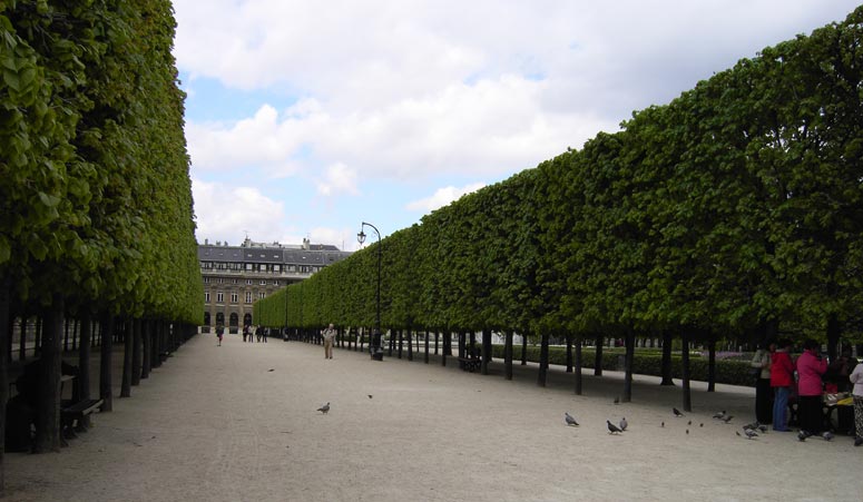 Archigraphus - Paris II | Der Garten im Haus