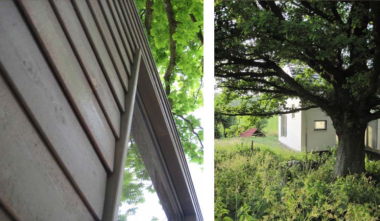 Archigraphus - Baum + Haus | Plombires