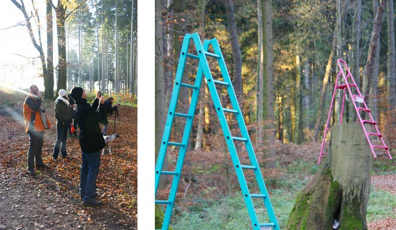Archigraphus - kukuk | Leiterspaziergang | 13.11.2011