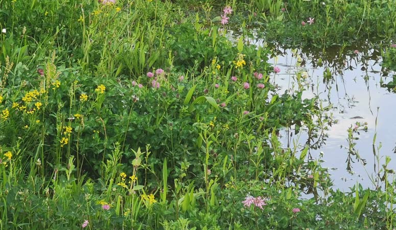 Archigraphus - Konzept | Radstation Bedburg