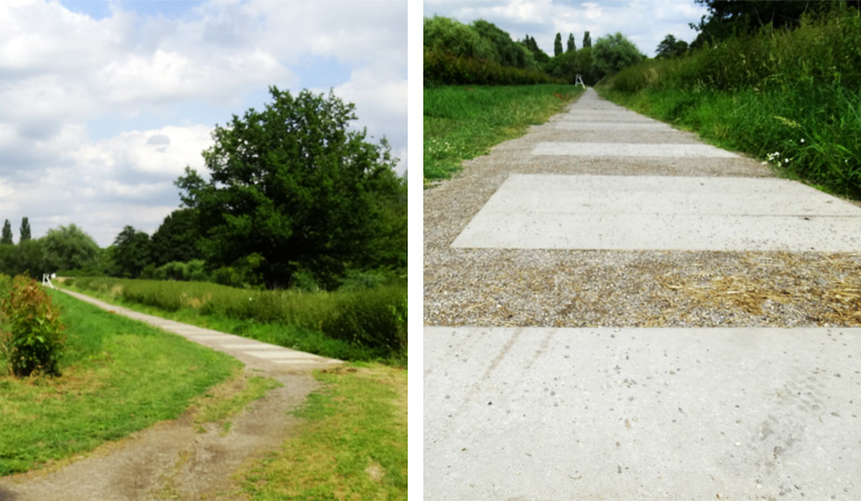 Archigraphus - Betondielenweg